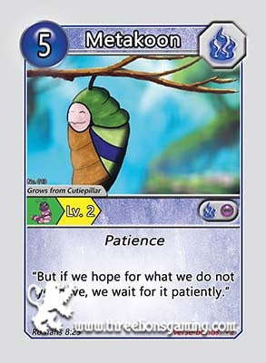 S1: Metakoon